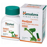 Himalaya Wellness Hadjod / Хималая Хаджод