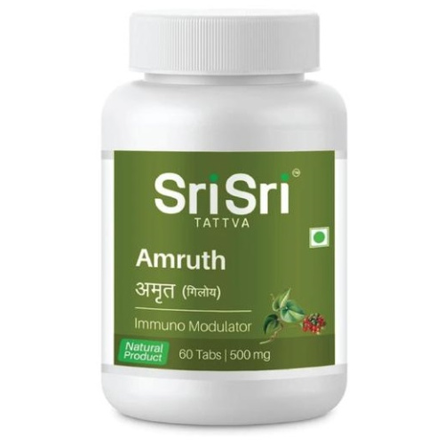Sri Sri Amruth / Шри Шри Амрут фото 3