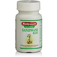Baidyanath Sanjiwani Bati / Сандживани Бати