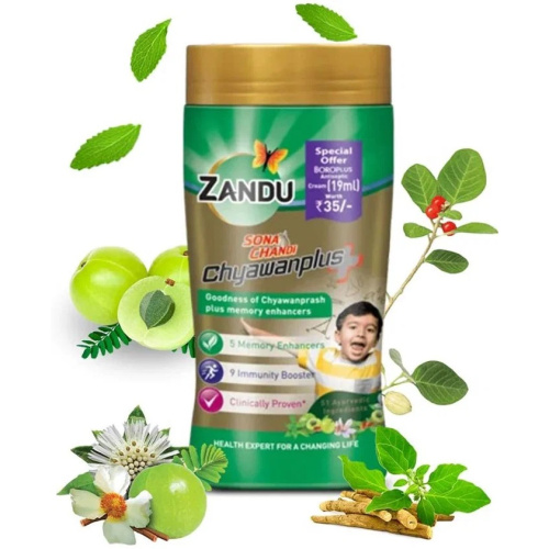Zandu Chyawanprash Plus Sona Chandi/ Чаванпраш Плюс Сона Чанди Укрепление Памяти фото 3