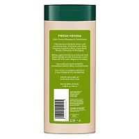 Biotique Bio Henna Leaf Fresh Texture Shampoo/ Биотик  Шампунь И Кондиционер  С Листьев Хны